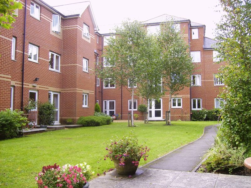 Main Image